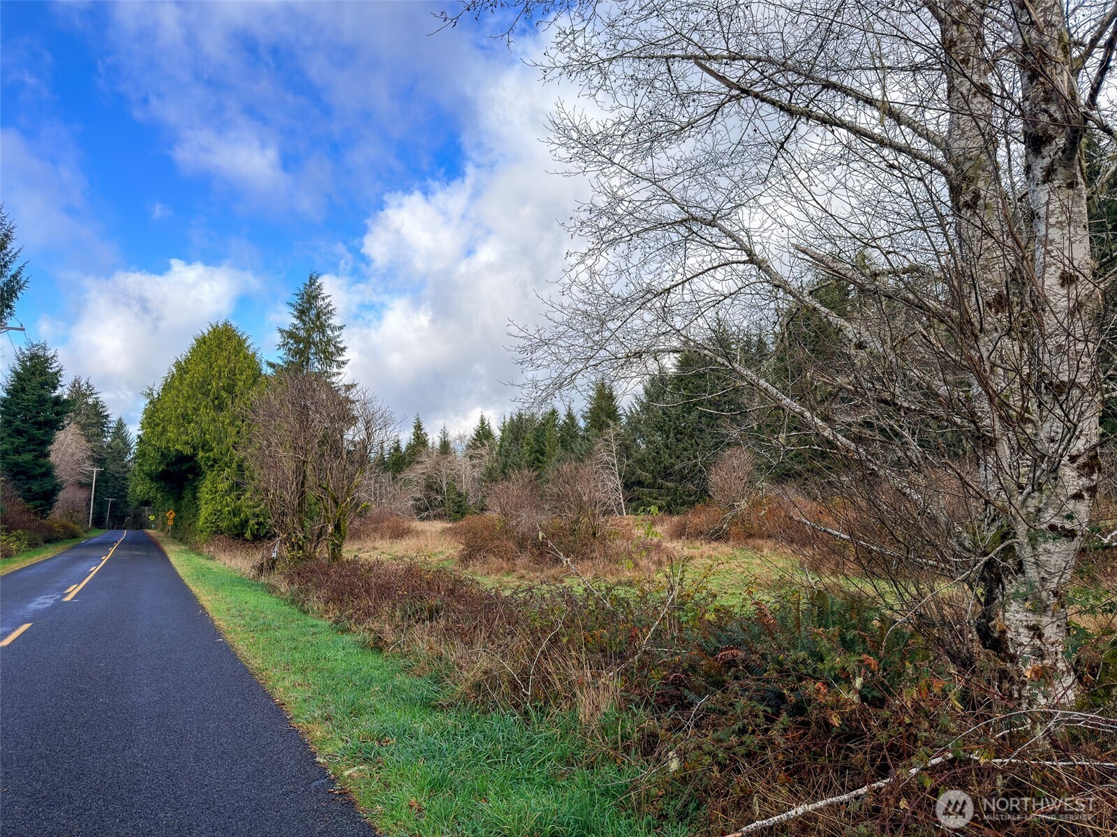 1982 Clearwater Road Forks, WA 98331 - Photo 3 of 17 Gallery Image 3