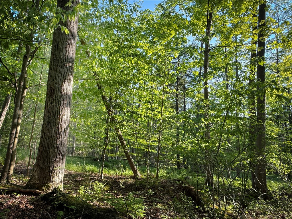 7488 Eades Road Red Creek, NY 13143 - Photo 37 of 50