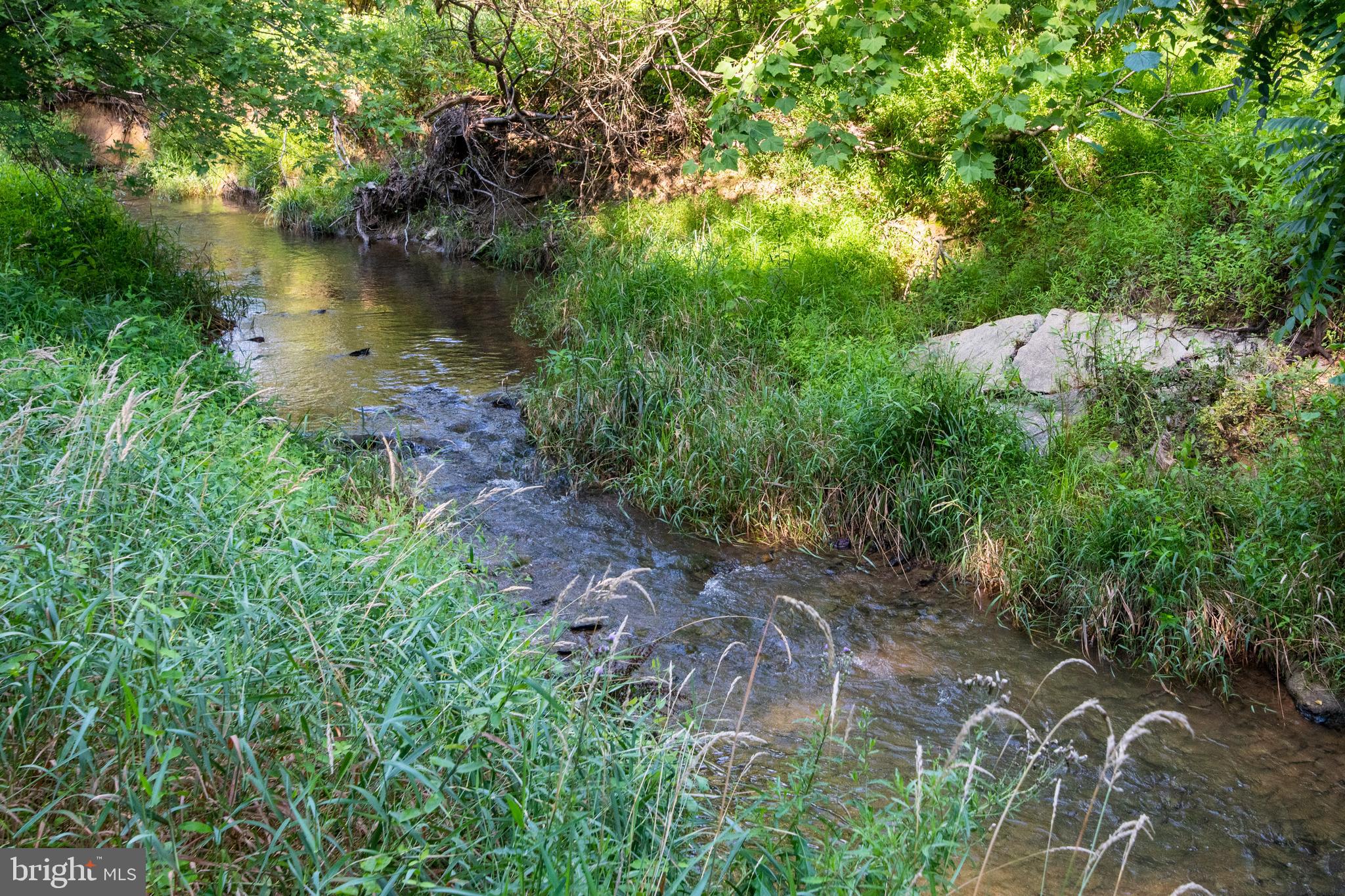 909 Old Pylesville Road Pylesville, MD 21132 - Photo 61 of 61 Right across the street a refreshing creek.