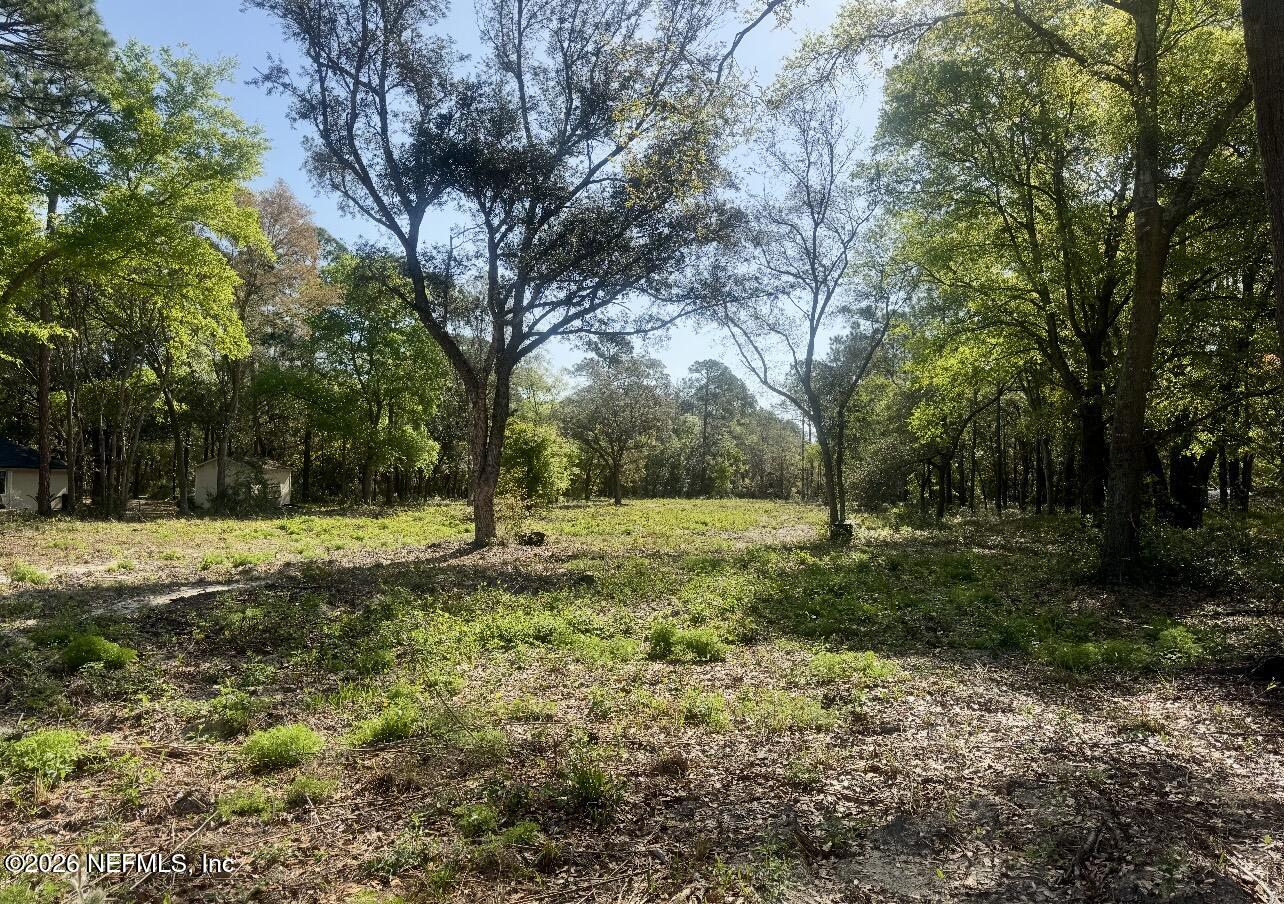 a view of yard with trees