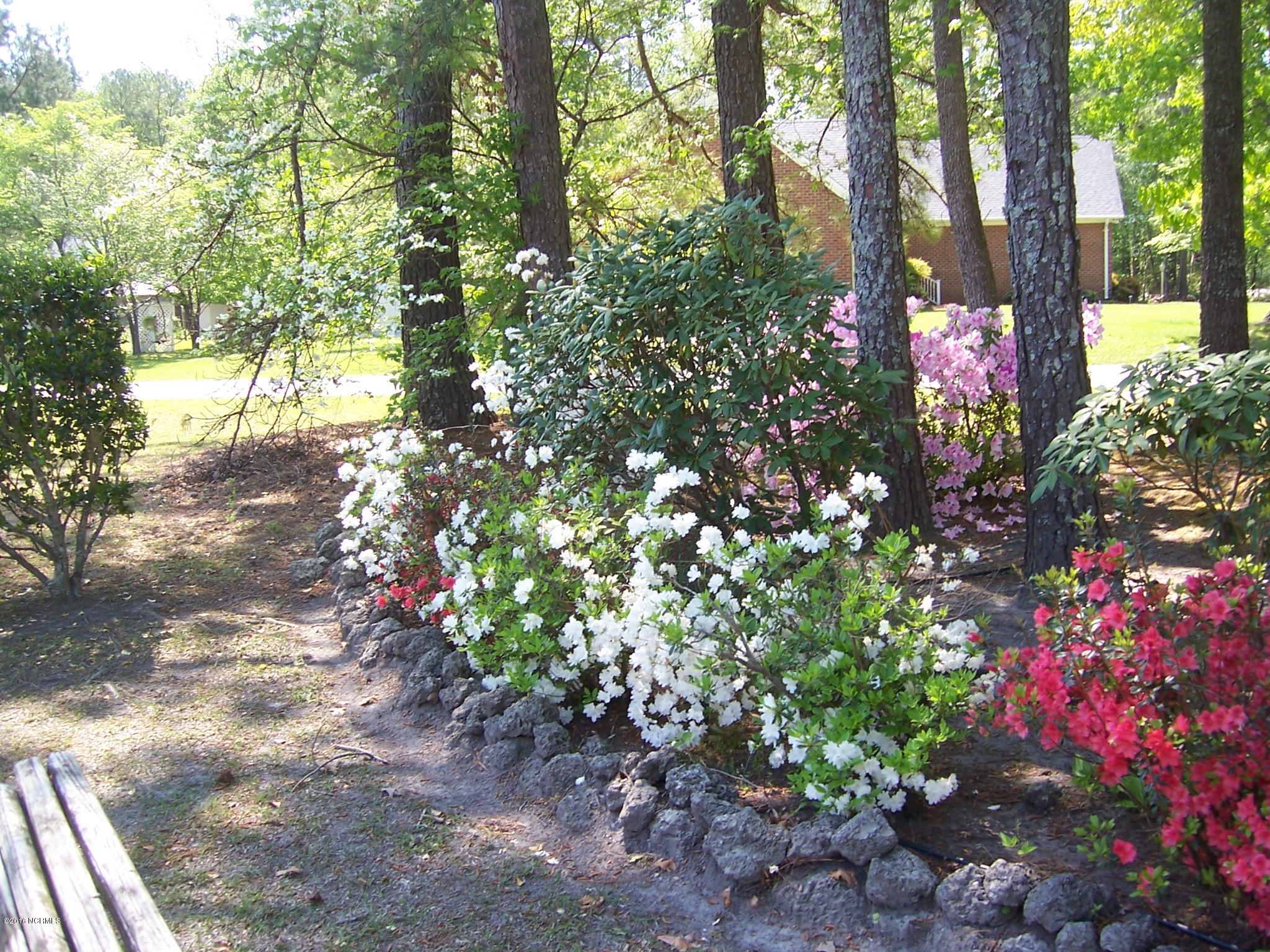 201 Dobbs Spaight Road New Bern, NC 28562 - Photo 37 of 42 100_1687