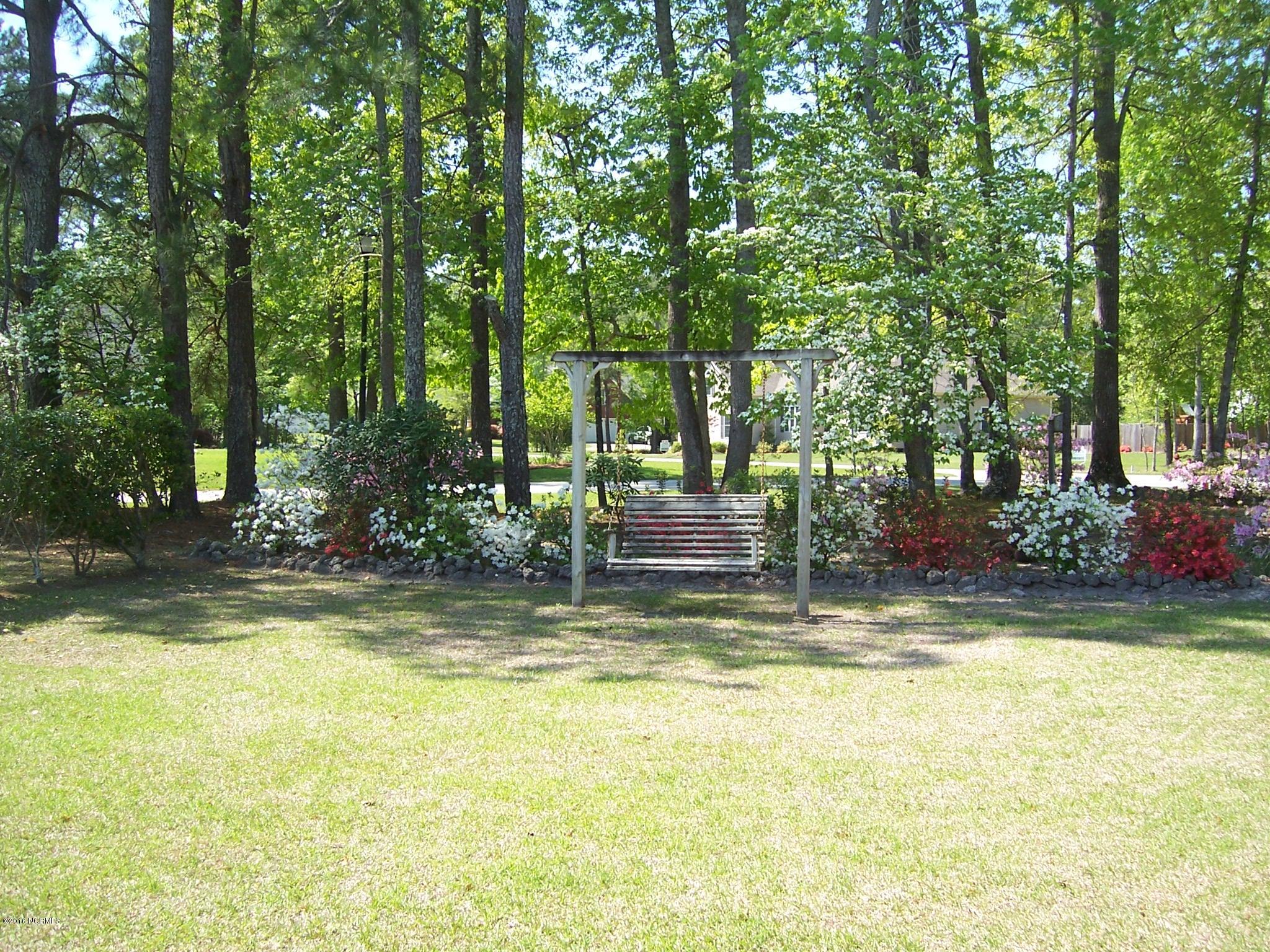 201 Dobbs Spaight Road New Bern, NC 28562 - Photo 7 of 42 woods 2013
