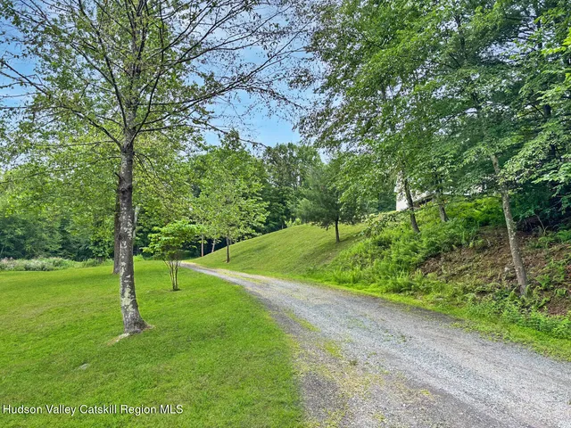 a view of a park with large trees