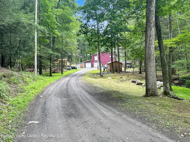 a view of a field with a tree