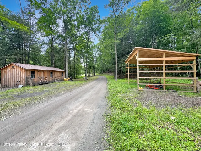 a view of a park with large trees