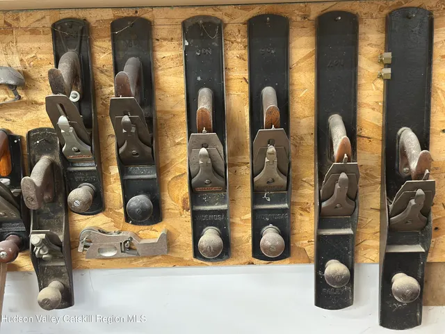 a large tree with lots of trees