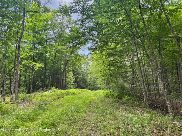 $985,000 | 40-67 Popstone Road, Stone Ridge, NY 12484