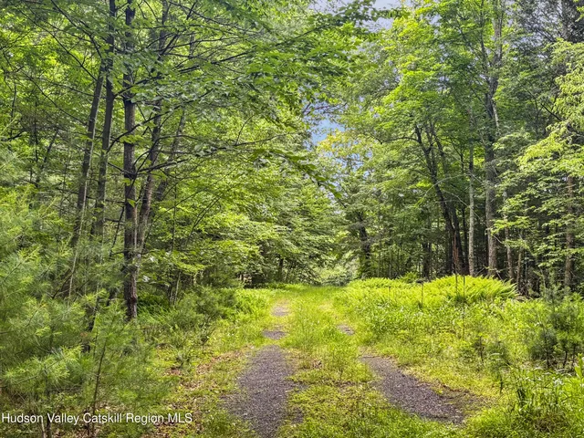 $985,000 | 40-67 Popstone Road, Stone Ridge, NY 12484