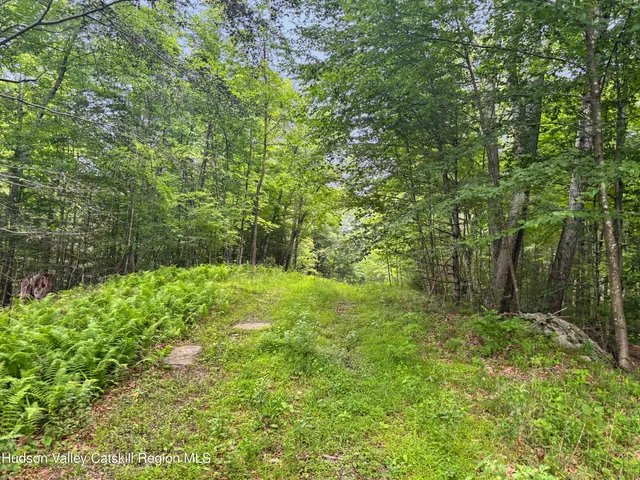 $985,000 | 40-67 Popstone Road, Stone Ridge, NY 12484