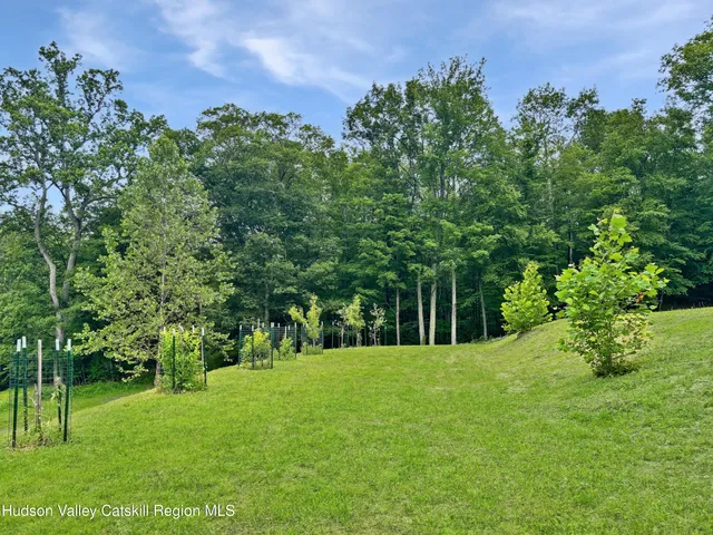 a view of a park with a tree
