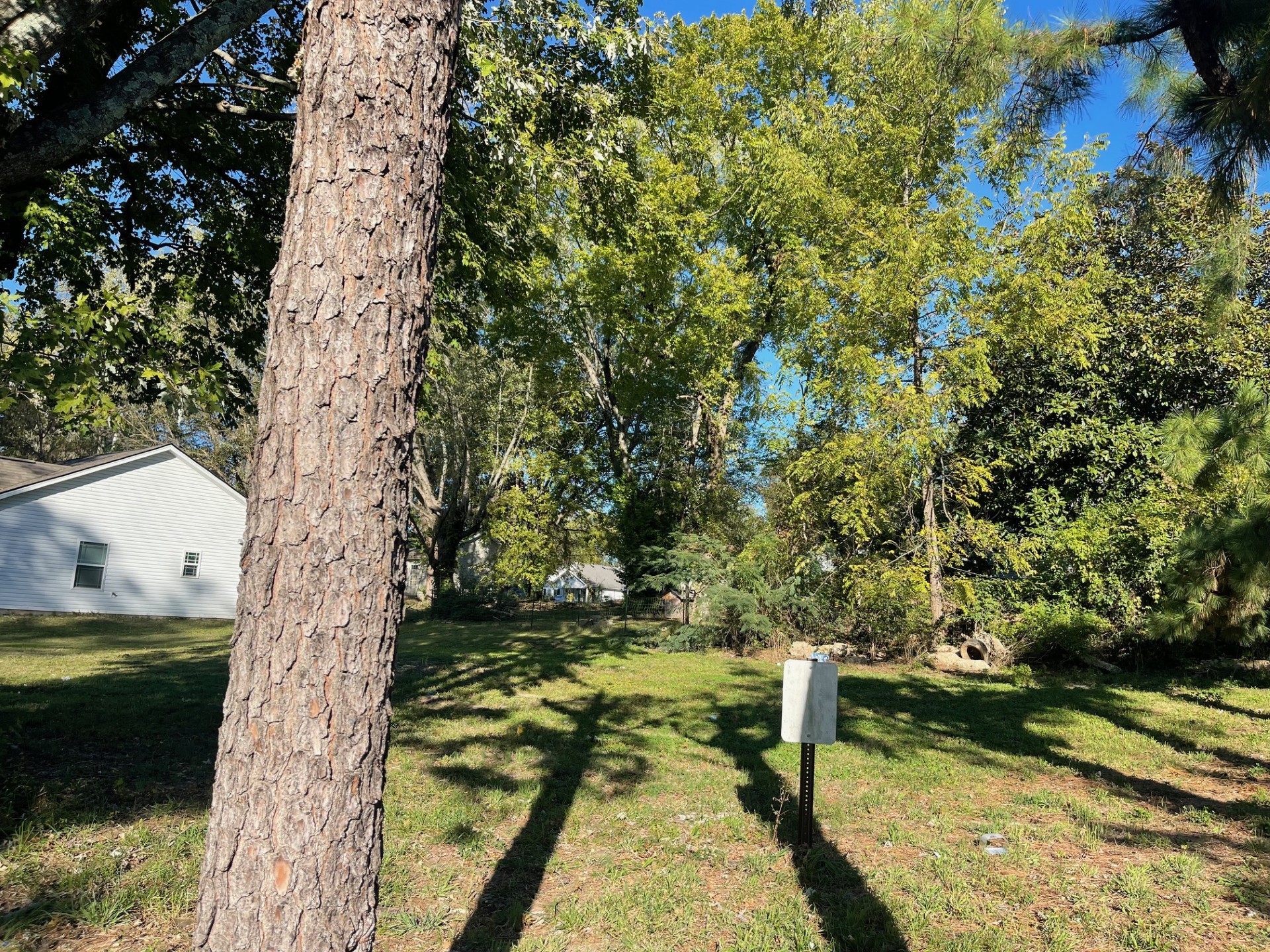 a view of outdoor space and yard