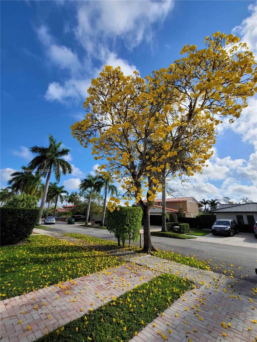Tamiami Miami, FL 33175 - Photo 2 of 21 SIDEWALK ENTRY