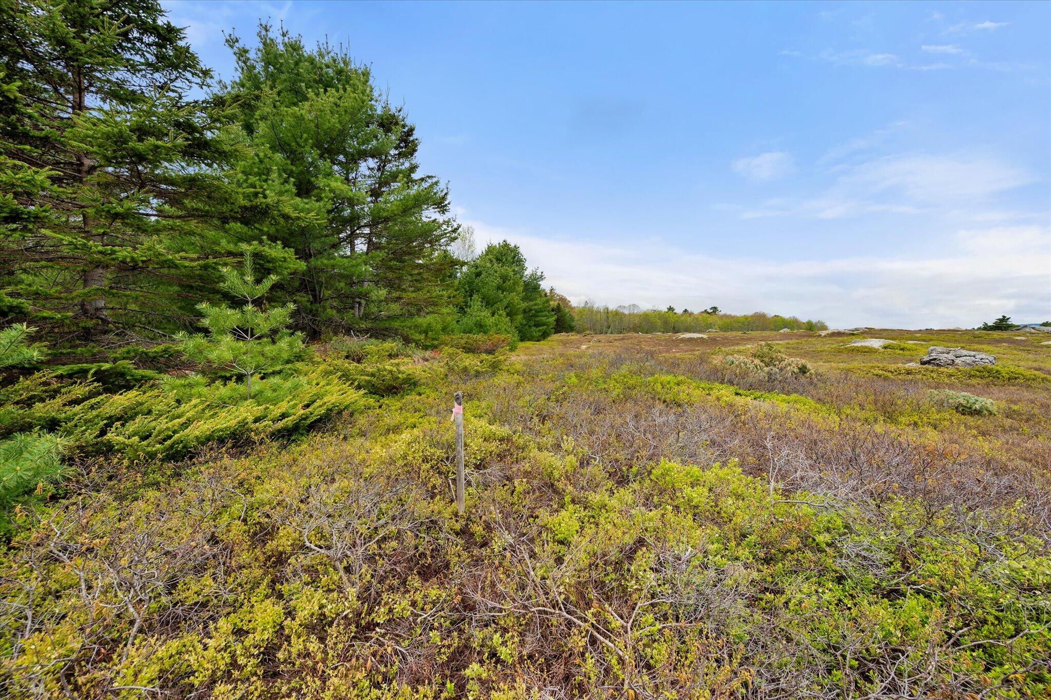 6 Map Road Orland, ME 04472 - Photo 9 of 22 Map 6, Lot 31 C Cedar Swamp Rd.