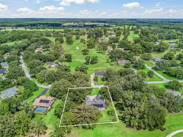a view of a lush green field with lots of green trees
