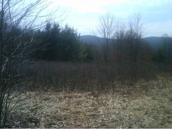 51 Fenton Hill Road Winchester, NH 03470 - Photo 1 of 1