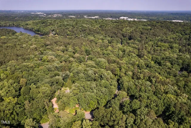 a view of a city with lush green forest