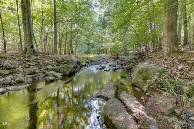a view of backyard with green space