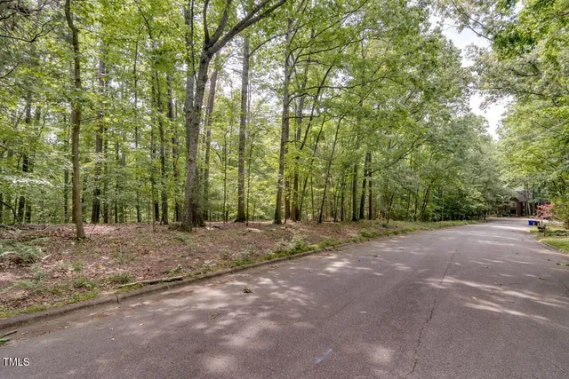 a view of a field with trees in front of it