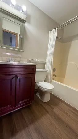 a bathroom with a sink a toilet a mirror and shower