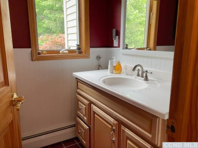 1325 County Rte 27 Craryville, NY 12521 - Photo 20 of 35 a bathroom with a sink a window and a mirror