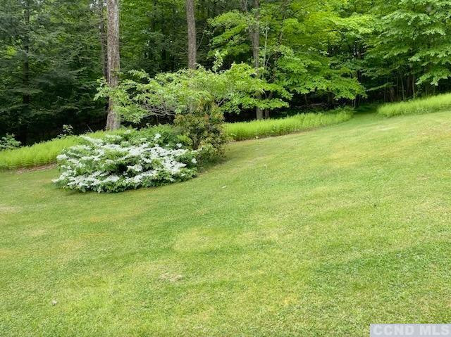 1325 County Rte 27 Craryville, NY 12521 - Photo 10 of 35 a view of a garden with a flower in a garden