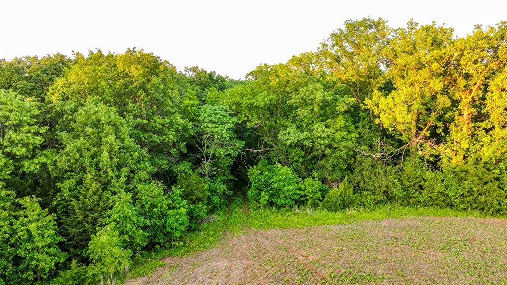 D218 County Road Armstrong, MO 65230 - Photo 49 of 73 Gallery Image 49
