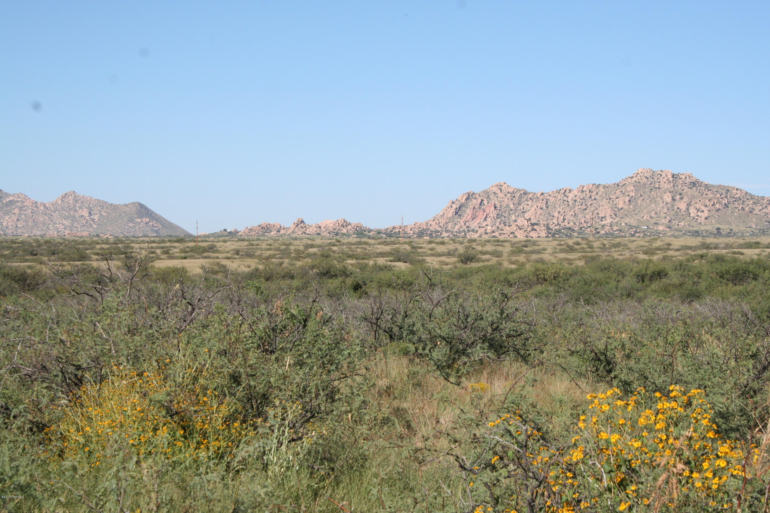 Tbd Victorio Road Dragoon, AZ 85609 - Photo 6 of 29