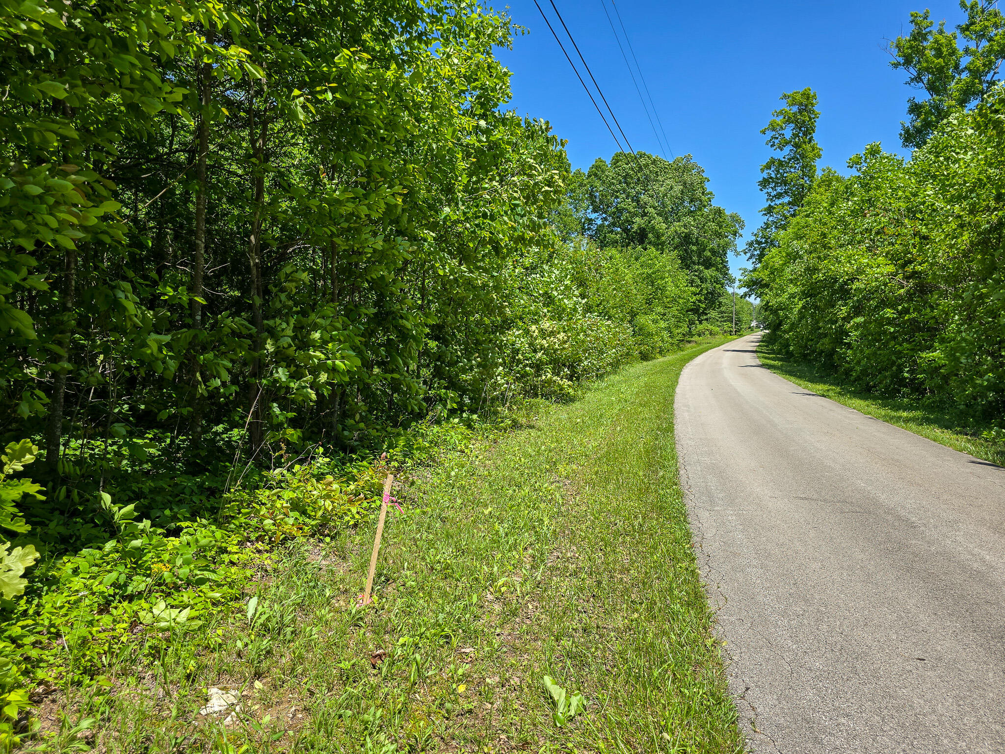 9999 Walter Huff Road Liberty, KY 42539 - Photo 5 of 42 20250517_133611