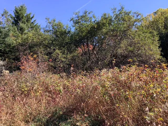 $30,000 | 234 Ladner Road, Easton, ME 04740