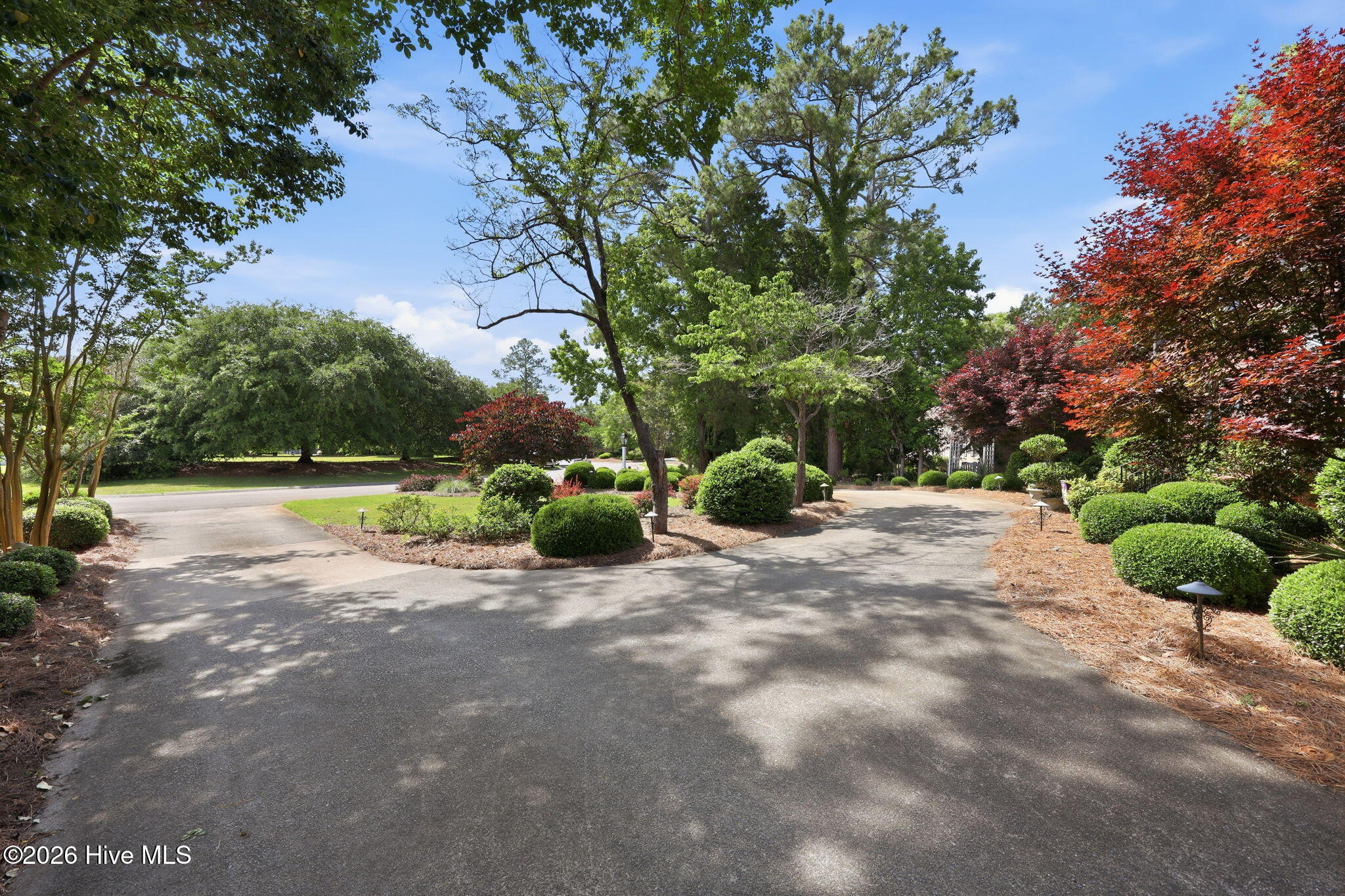 2406 Harbor Island Road New Bern, NC 28562 - Photo 64 of 72 8-web-or-mls-0C0A5866