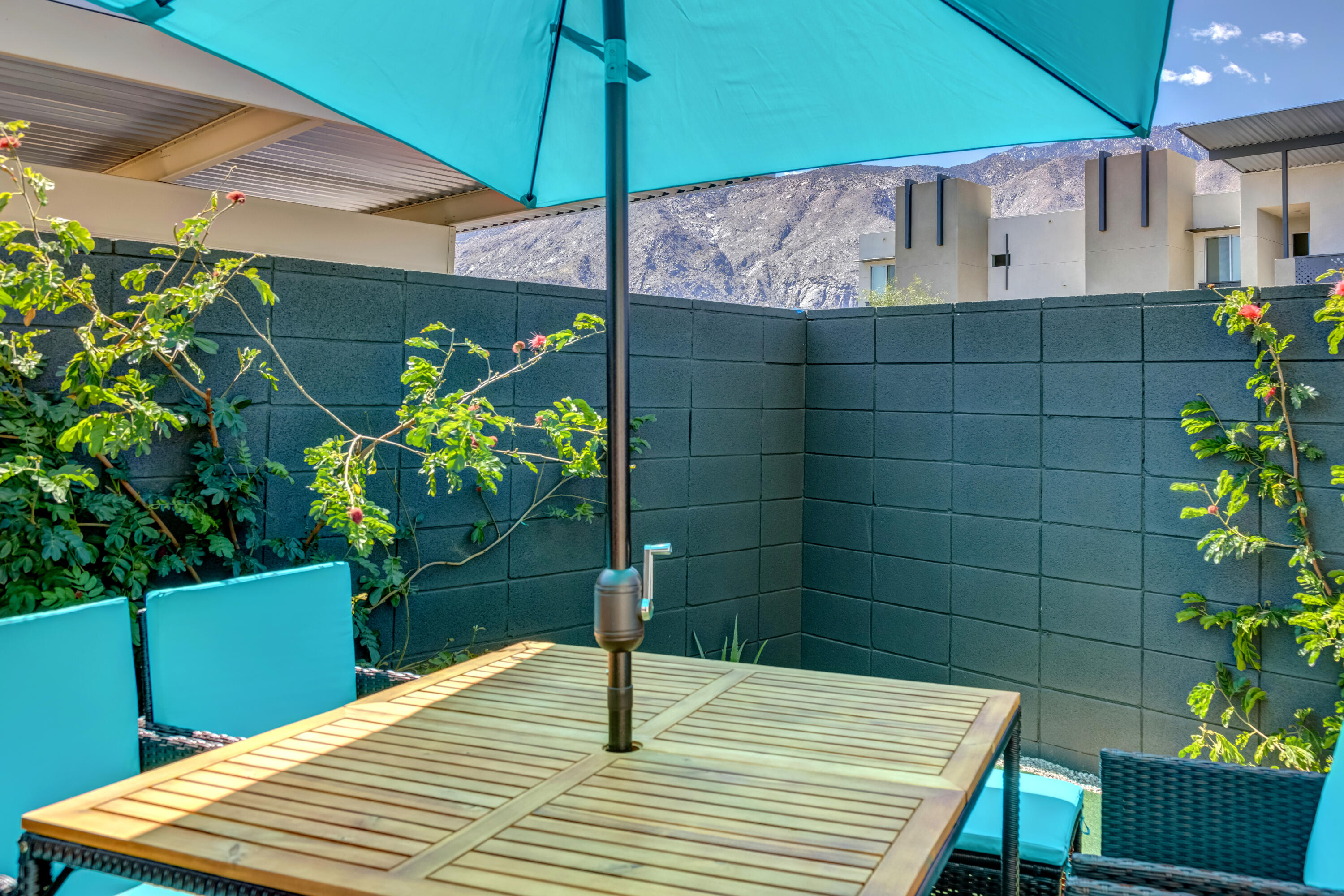 161 The River Palm Springs, CA 92262 - Photo 35 of 46 a view of a backyard