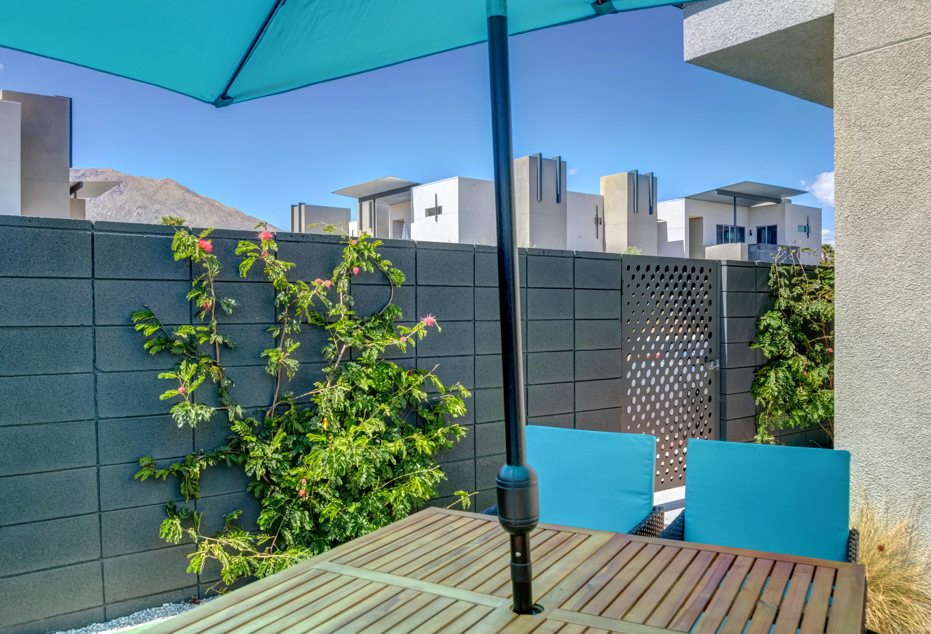 161 The River Palm Springs, CA 92262 - Photo 36 of 46 a house view with a garden space