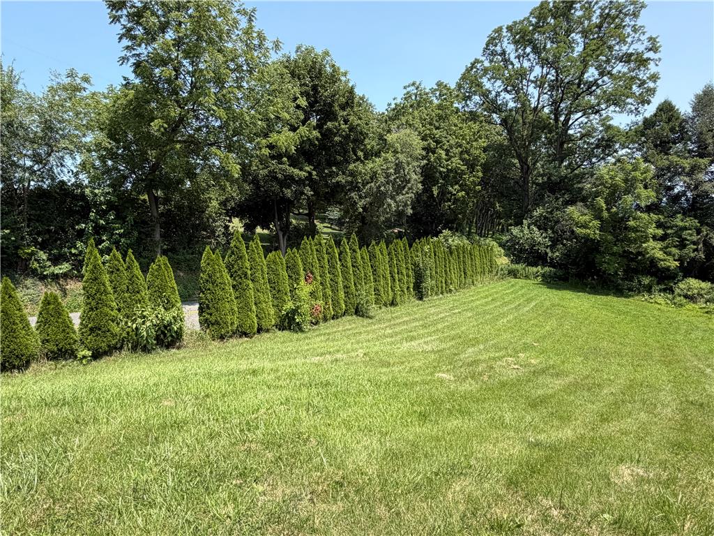 2552 Spring Street Coplay, PA 18037 - Photo 7 of 33 A verdant, manicured lawn bordered by a neat row of evergreen shrubs and mature trees defines this property's serene outdoor space.