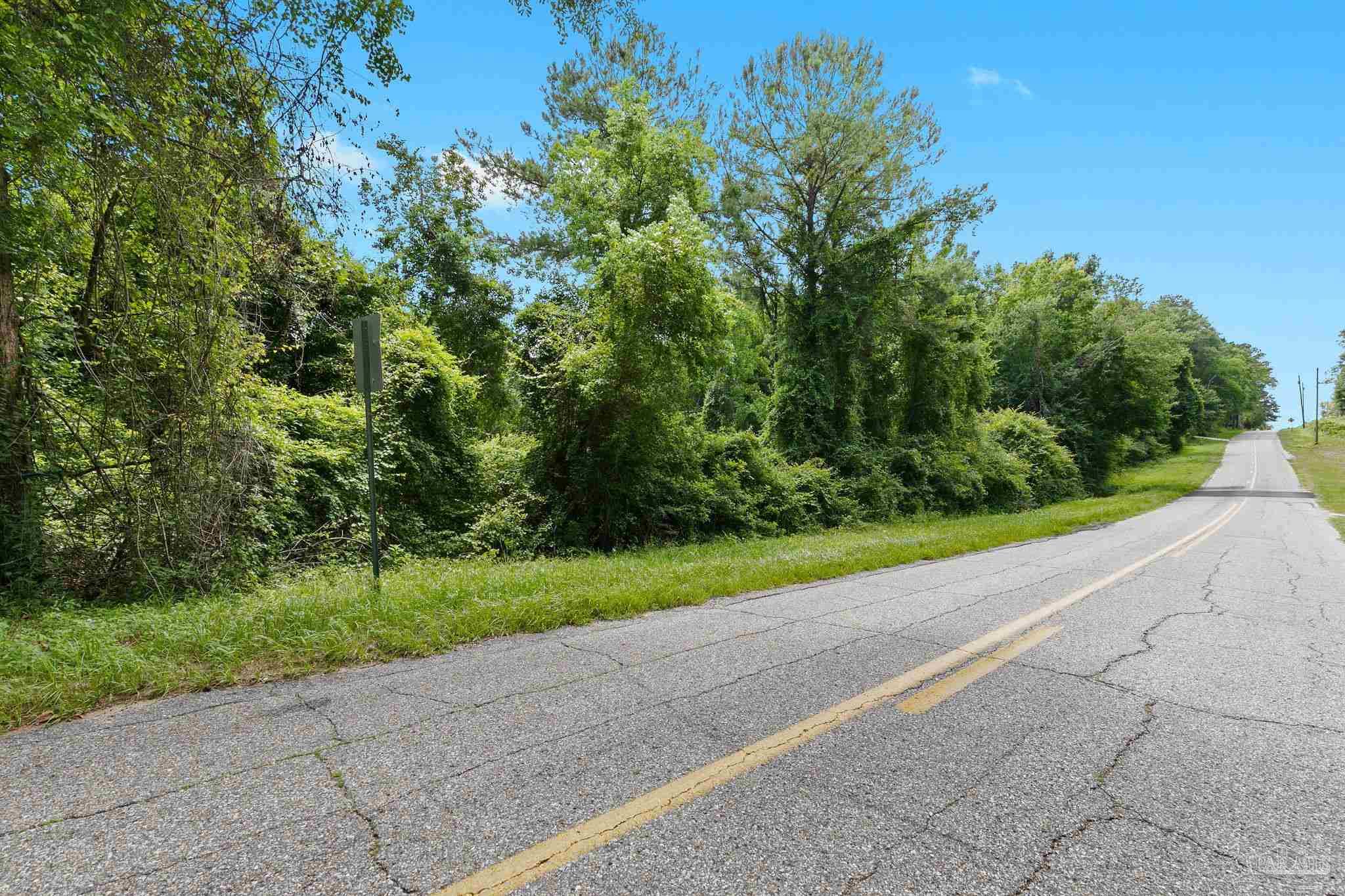 0 Pine Forest Road Walnut Hill, FL 32568 - Photo 1 of 33 Gallery Image 1