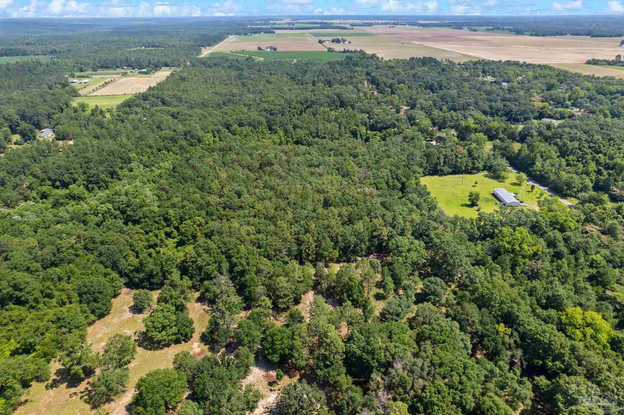 0 Pine Forest Road Walnut Hill, FL 32568 - Photo 13 of 33 Gallery Image 13