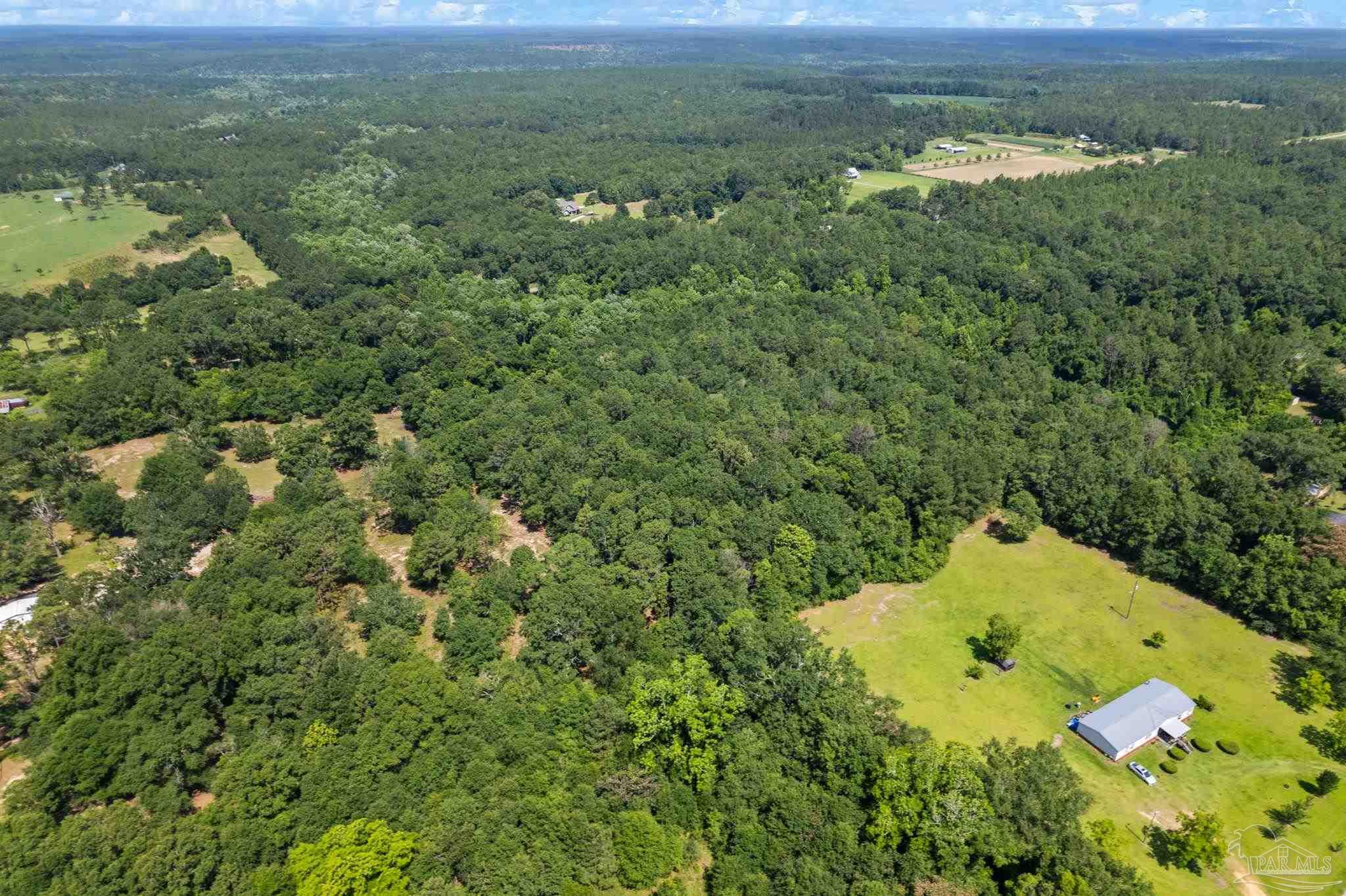 0 Pine Forest Road Walnut Hill, FL 32568 - Photo 14 of 33 Gallery Image 14