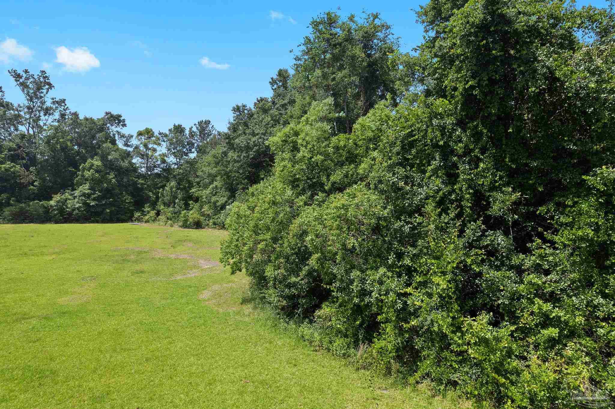 0 Pine Forest Road Walnut Hill, FL 32568 - Photo 16 of 33 Gallery Image 16