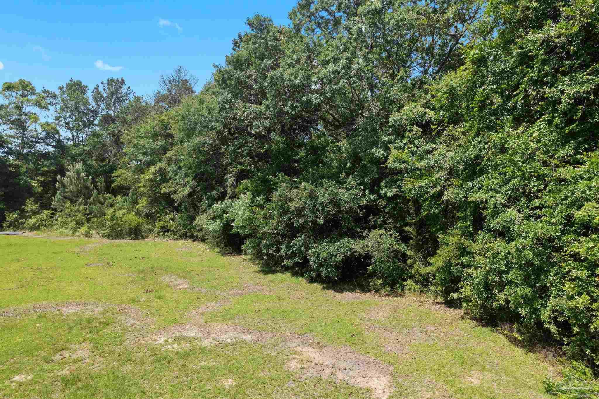 0 Pine Forest Road Walnut Hill, FL 32568 - Photo 17 of 33 Gallery Image 17