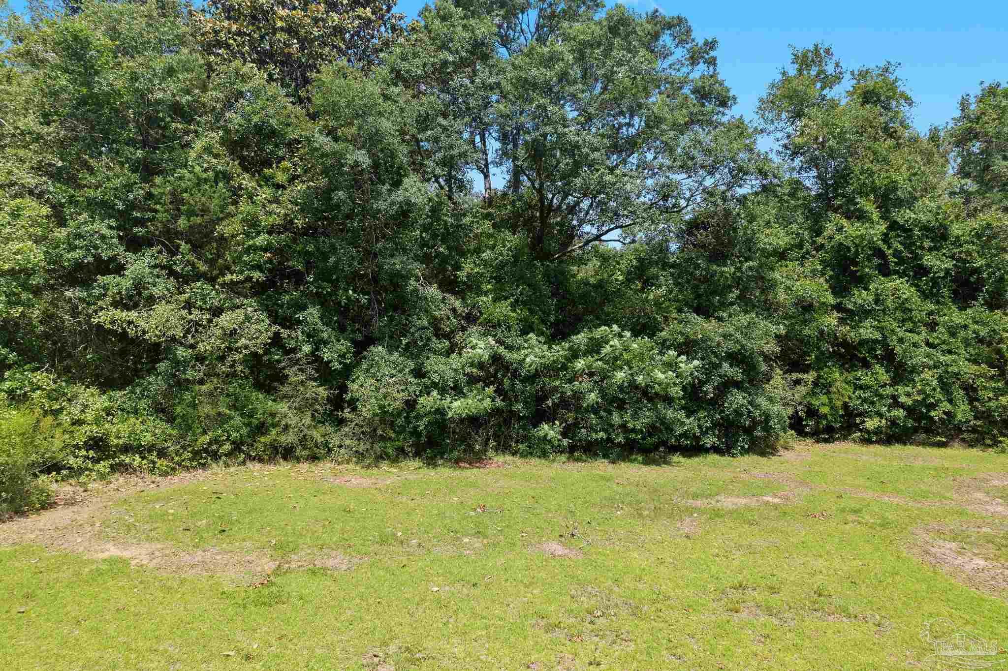 0 Pine Forest Road Walnut Hill, FL 32568 - Photo 19 of 33 Gallery Image 19