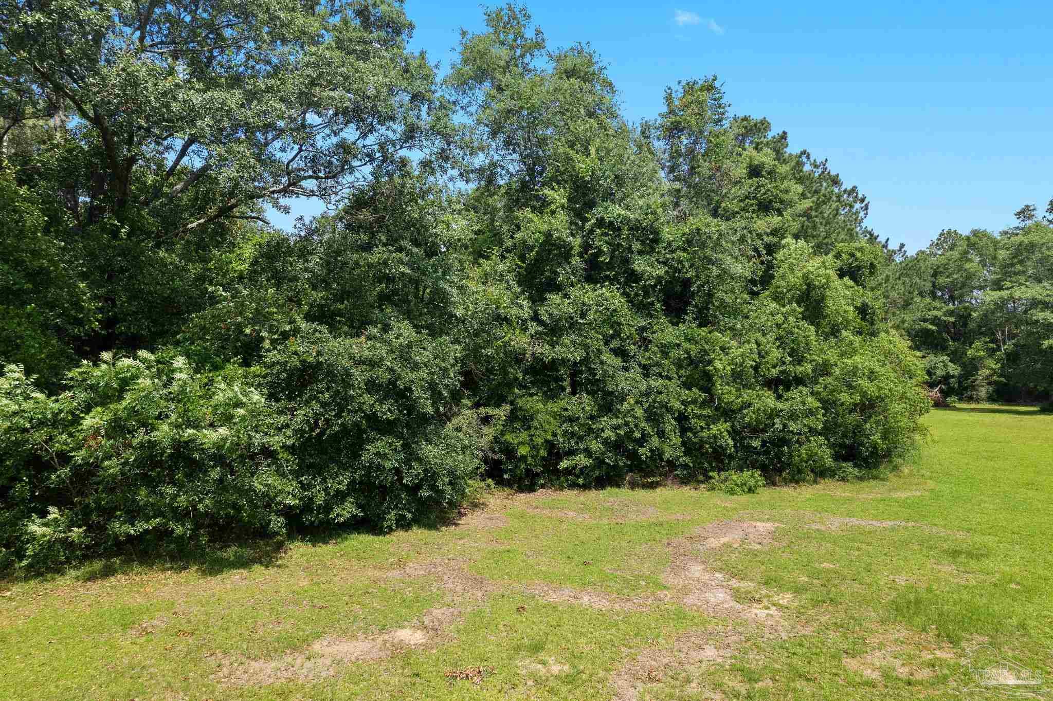 0 Pine Forest Road Walnut Hill, FL 32568 - Photo 20 of 33 Gallery Image 20