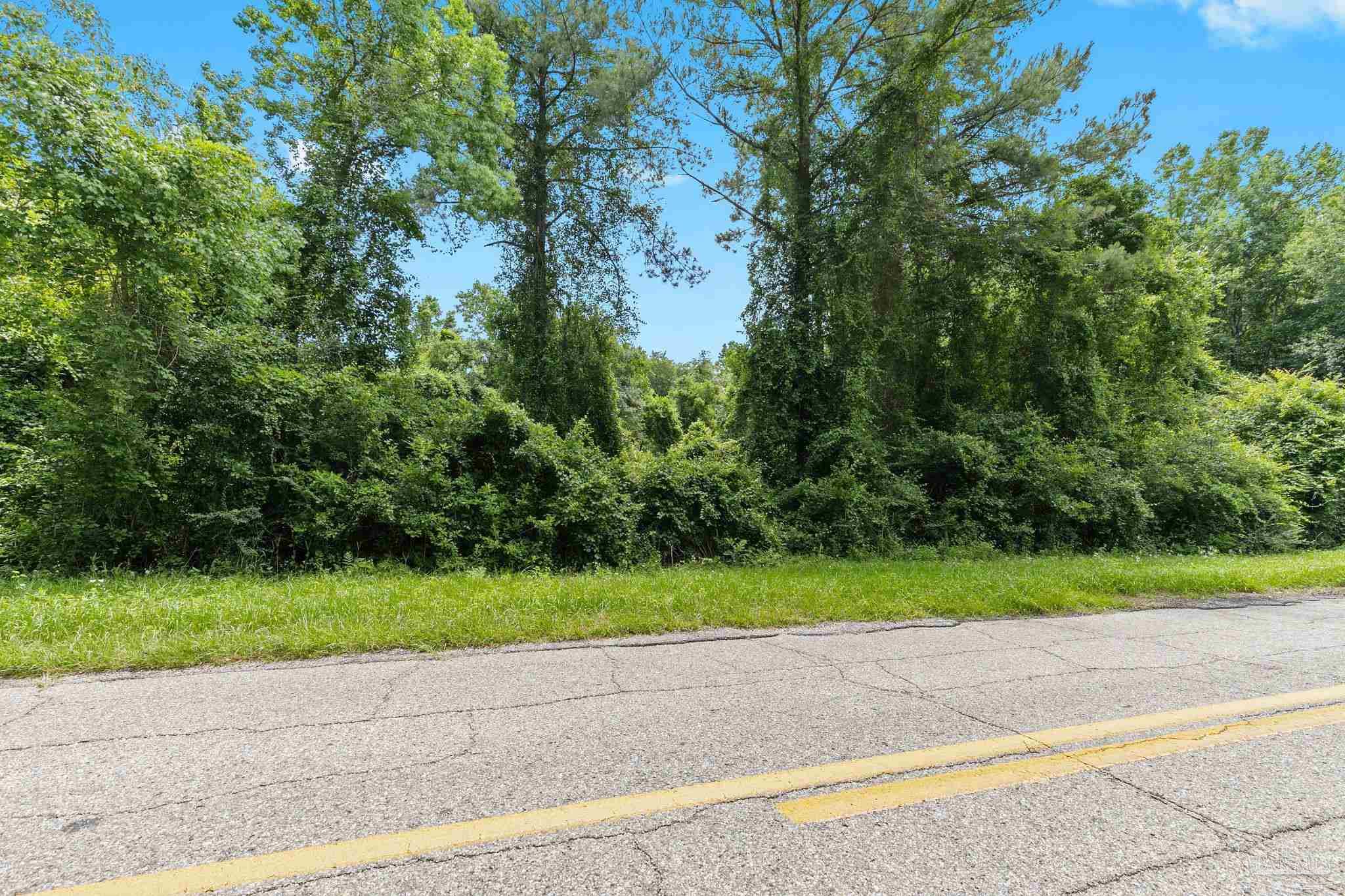 0 Pine Forest Road Walnut Hill, FL 32568 - Photo 2 of 33 Gallery Image 2