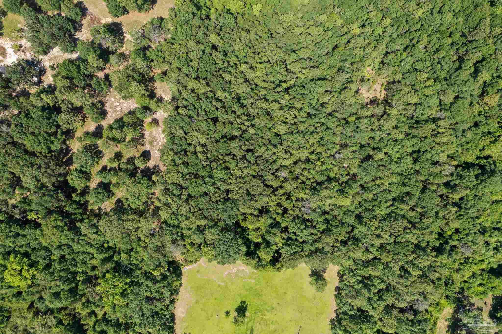 0 Pine Forest Road Walnut Hill, FL 32568 - Photo 21 of 33 Gallery Image 21