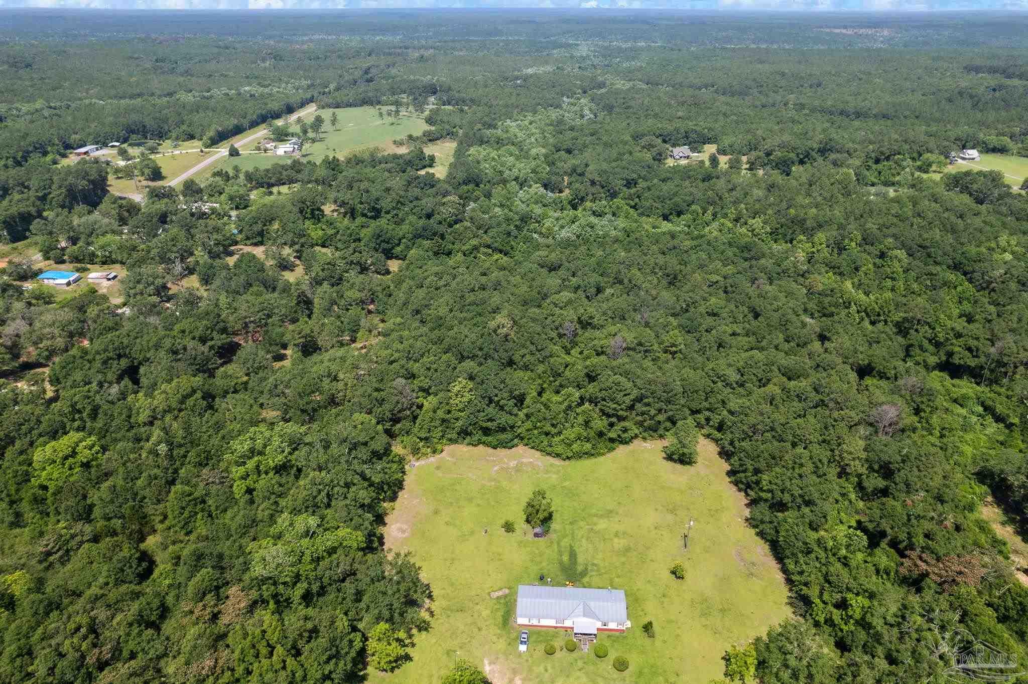 0 Pine Forest Road Walnut Hill, FL 32568 - Photo 23 of 33 Gallery Image 23