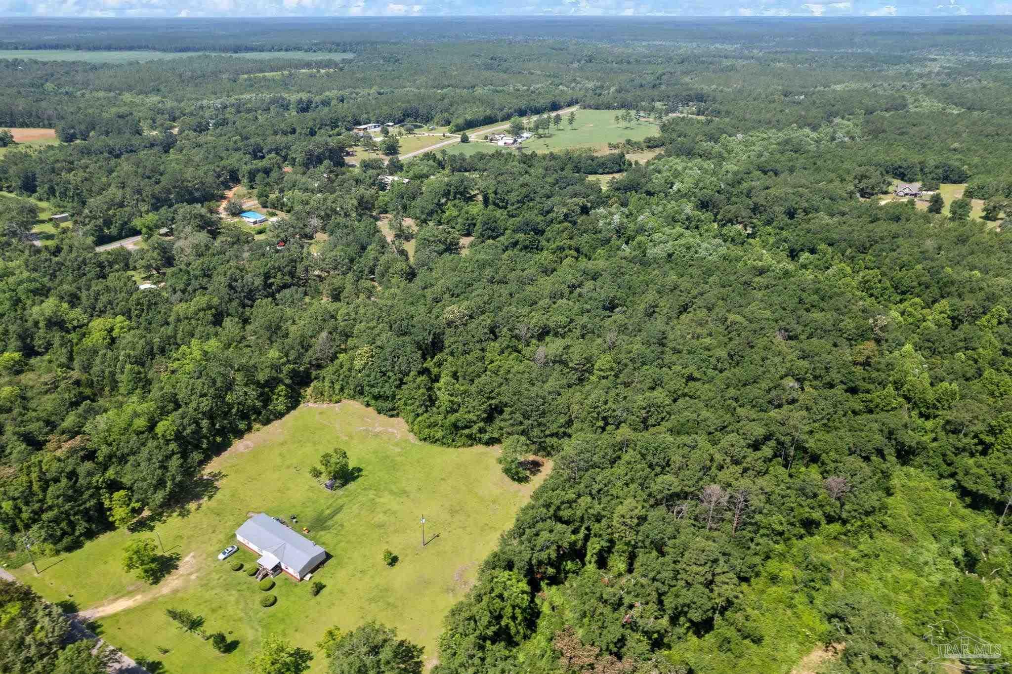0 Pine Forest Road Walnut Hill, FL 32568 - Photo 24 of 33 Gallery Image 24