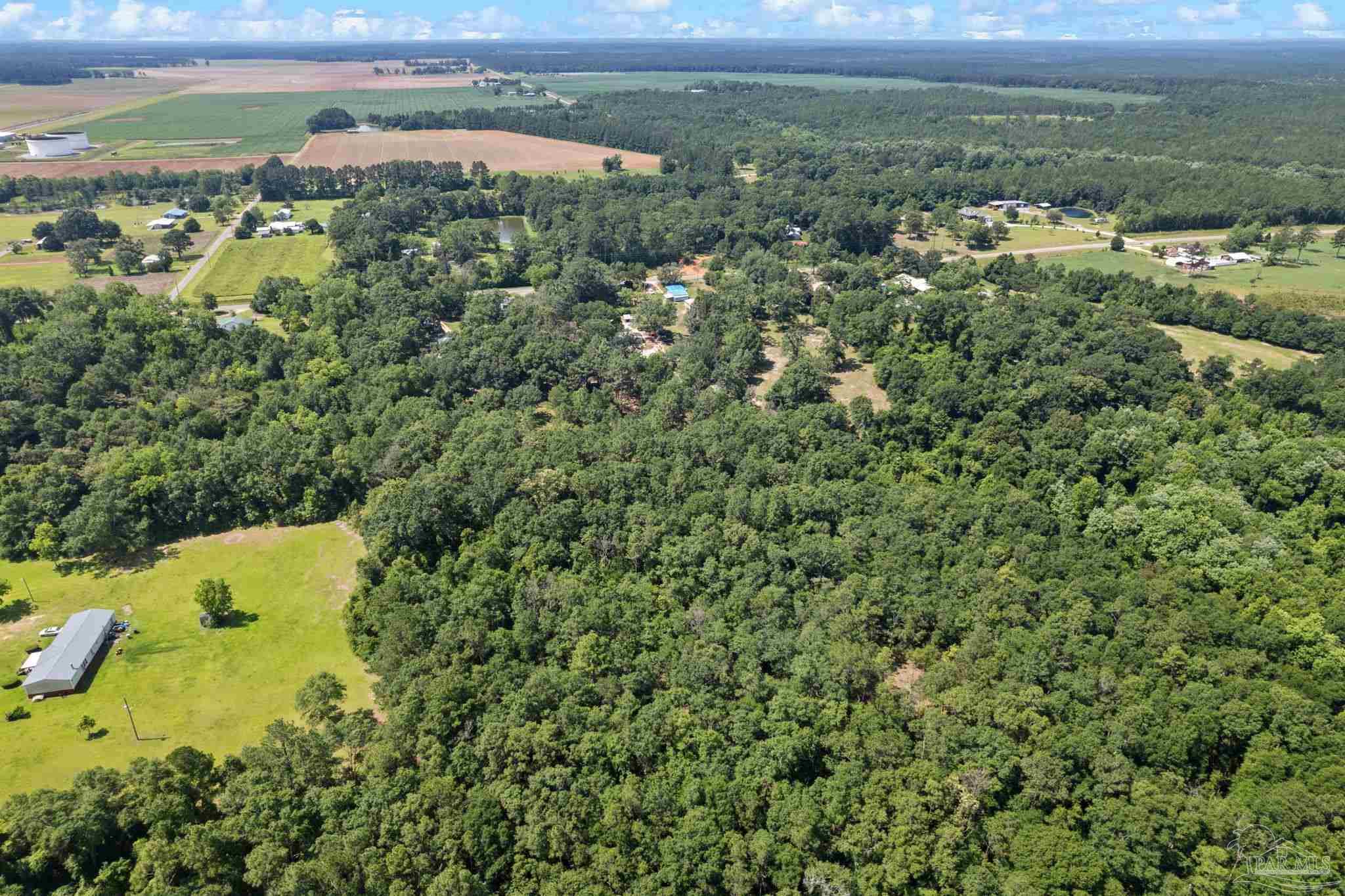 0 Pine Forest Road Walnut Hill, FL 32568 - Photo 25 of 33 Gallery Image 25