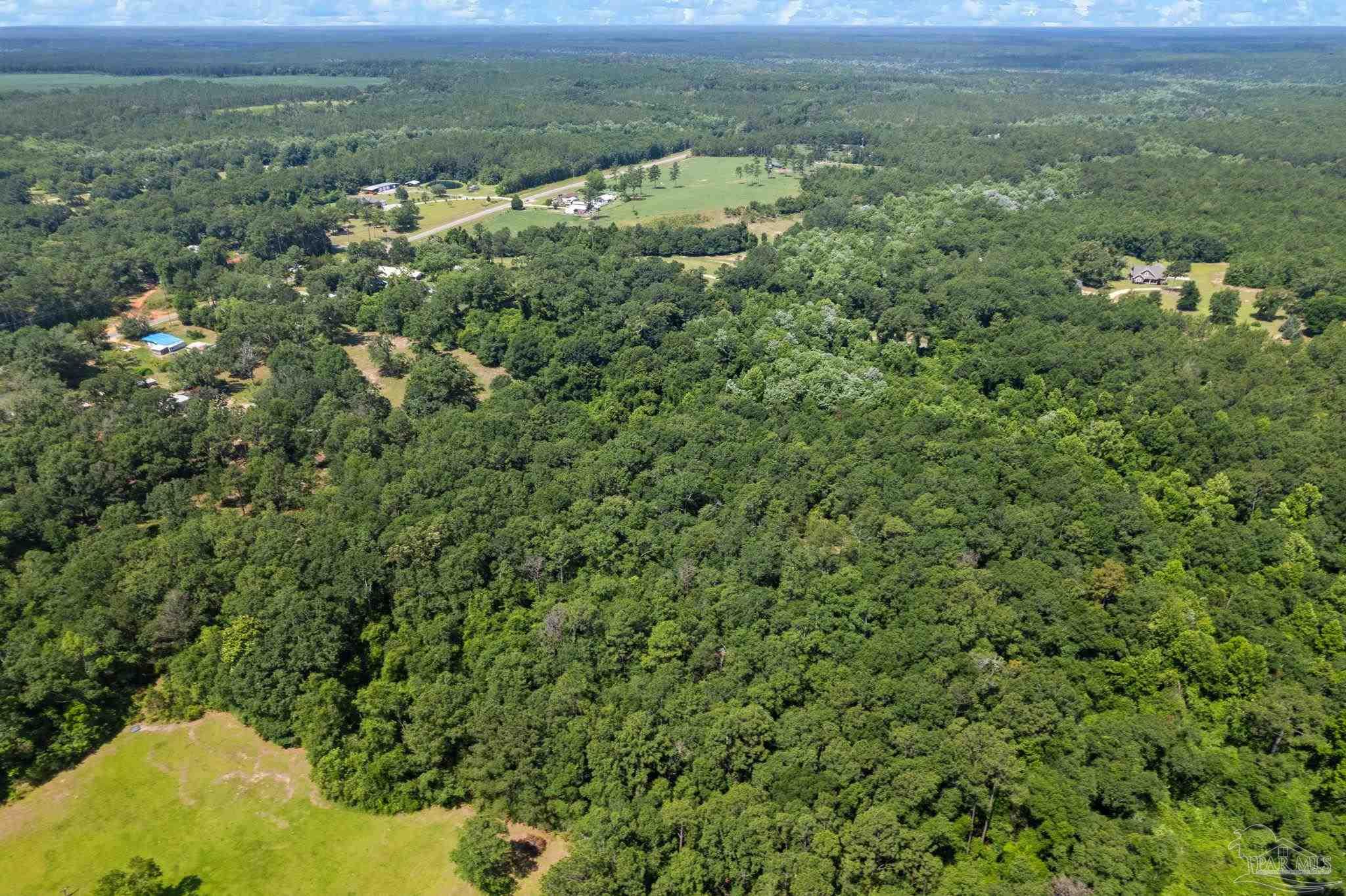 0 Pine Forest Road Walnut Hill, FL 32568 - Photo 26 of 33 Gallery Image 26