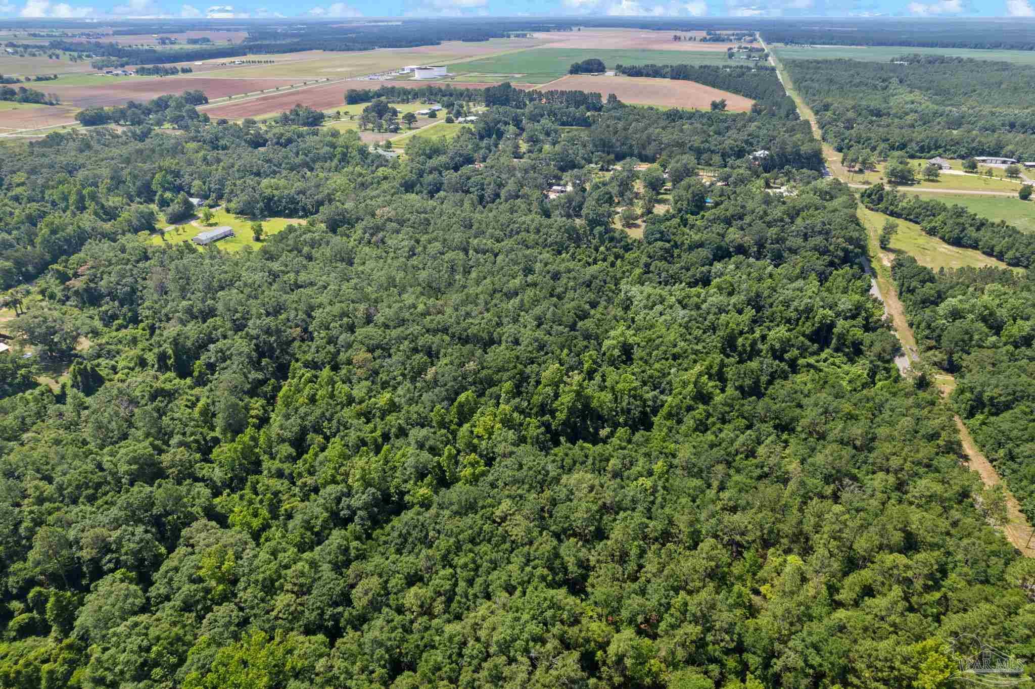 0 Pine Forest Road Walnut Hill, FL 32568 - Photo 28 of 33 Gallery Image 28
