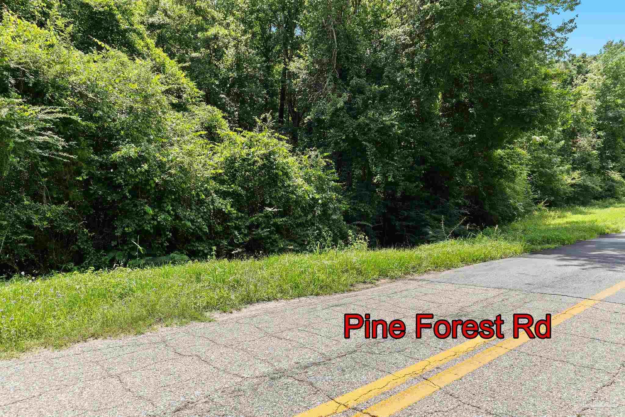 0 Pine Forest Road Walnut Hill, FL 32568 - Photo 4 of 33 Gallery Image 4