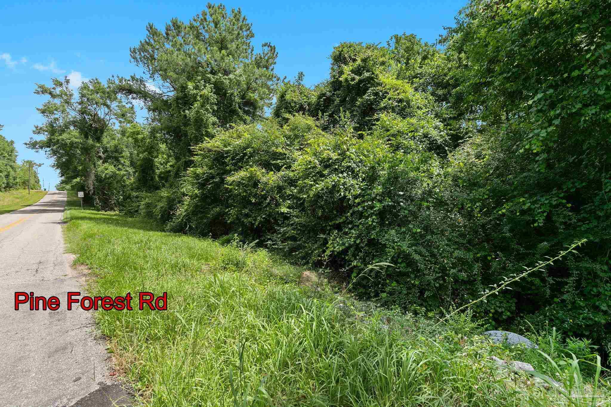 0 Pine Forest Road Walnut Hill, FL 32568 - Photo 5 of 33 Gallery Image 5