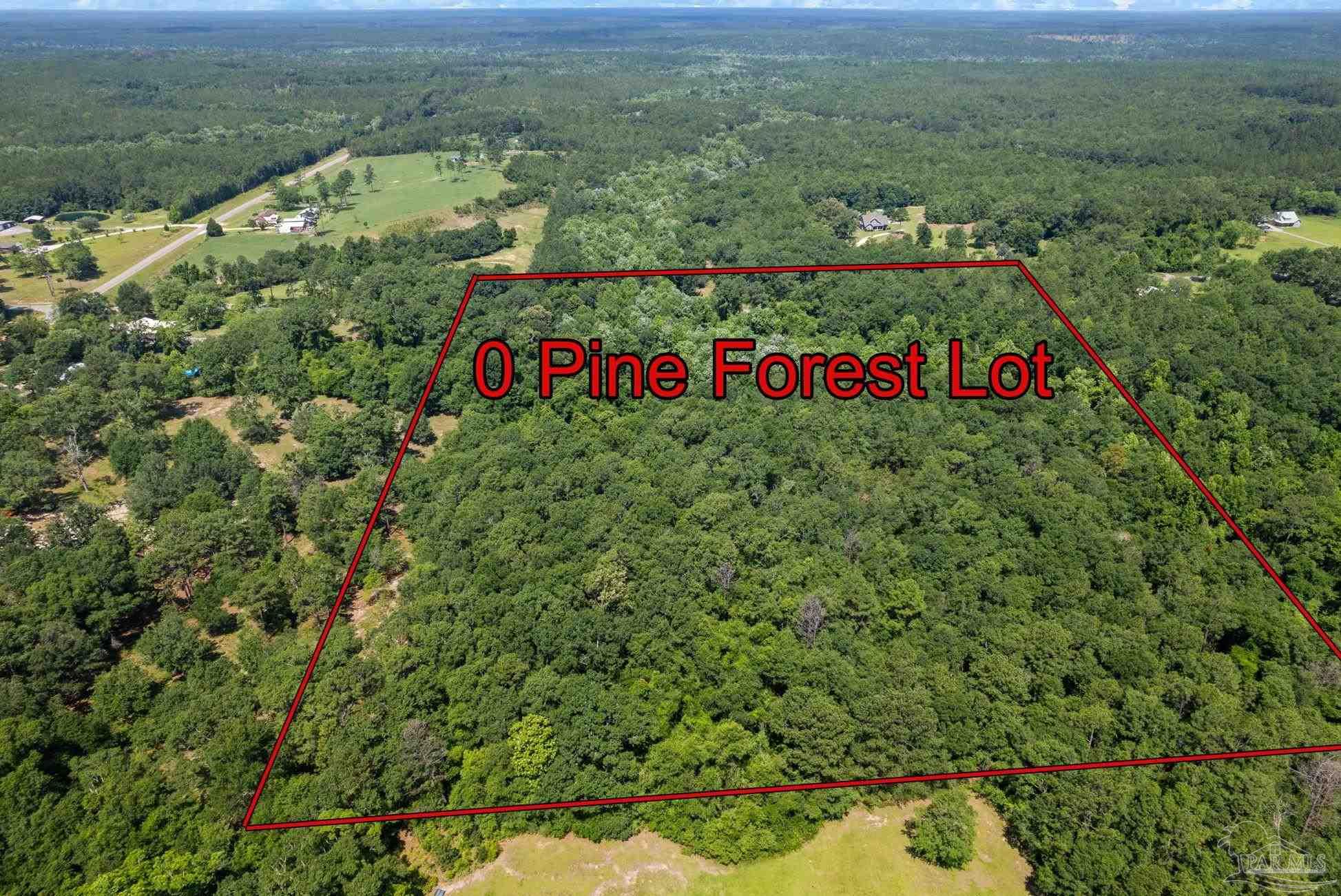 0 Pine Forest Road Walnut Hill, FL 32568 - Photo 6 of 33 Gallery Image 6